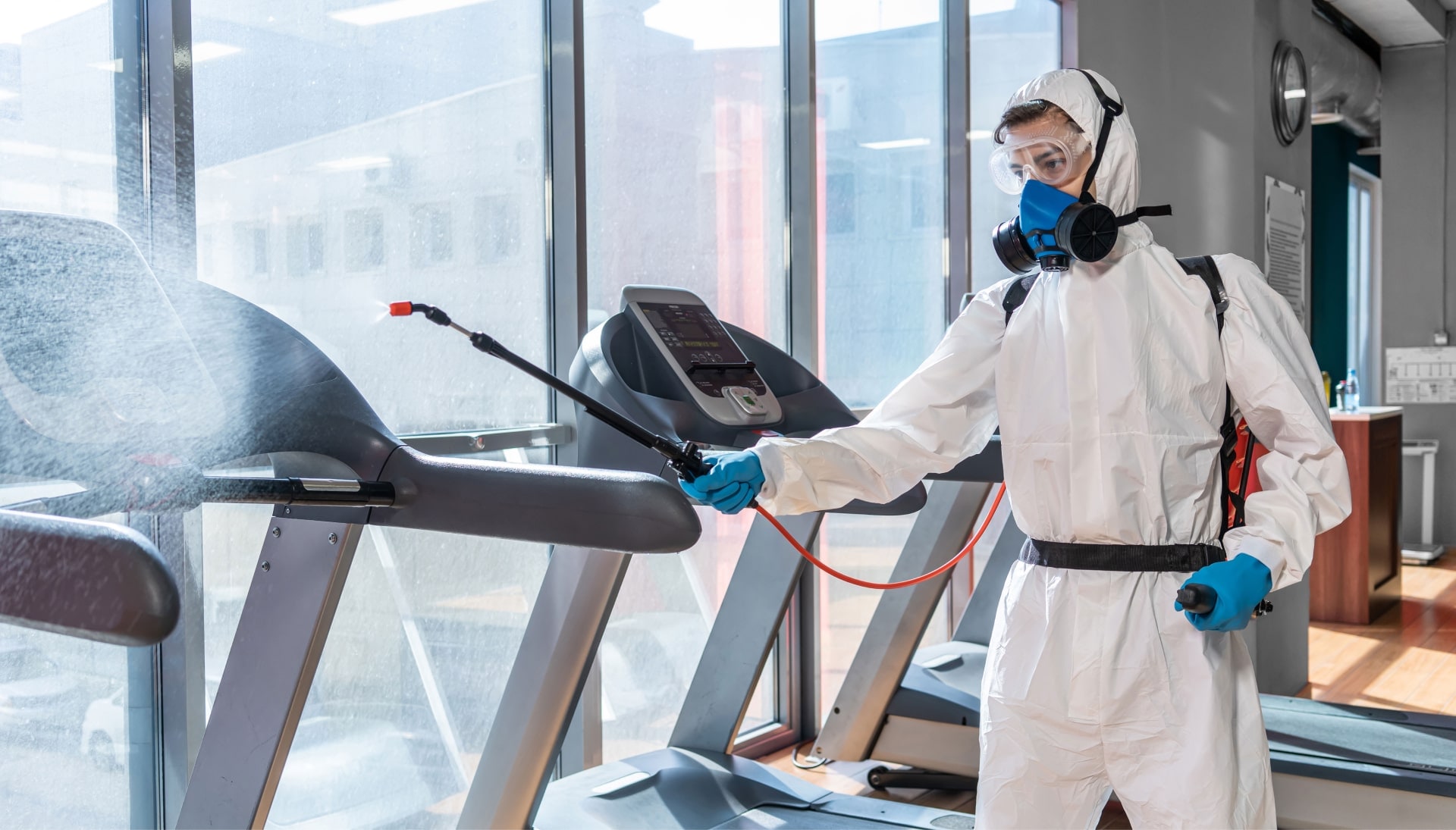 Commercial Mold Removal Services in Denver