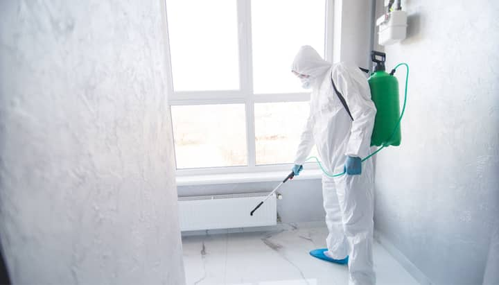 Mold Inspection Services in Denver